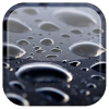 Black Water