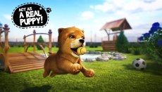 Dog Simulator